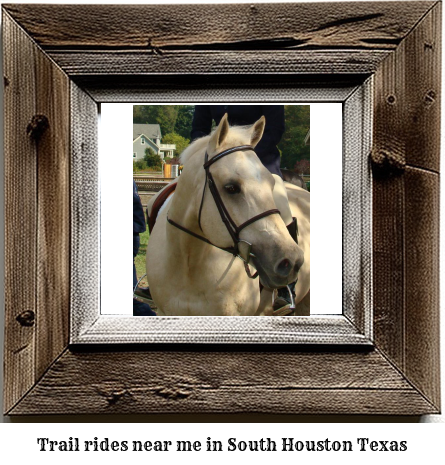 trail rides near me in South Houston, Texas